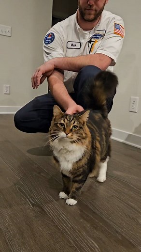 We LOVE meeting your pets! This cat's name is Huckleberry, and he couldn't get enough love from our tech, Mark! The two are best buds now! ❤️🥹 #catsofinstagram #cats #wholesome #hvaclife #hvac #furnacerepair #meetthepets Are you a cat person, dog person, both, or neither? | Morris-Jenkins
