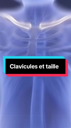 Clavicules et taille : prédire votre taille adulte