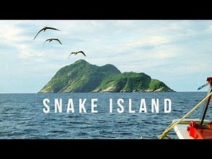 Snake Island | 100 Wonders | Atlas Obscura