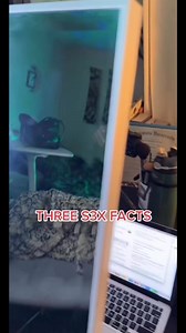 702K views · 17K reactions | Gold tips for eating a vajajay #pleasurefacts #sexeductionfacts #DidYouKnow #drsonyamaya #sexfacts #sexpositive #LearnOnReels | Sonya Maya | Facebook