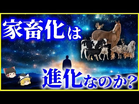 【ゆっくり解説】人類にも起きている⁉「自己家畜化」とは何か？家畜化は進化なのか？を解説/2023年最新研究も…ロシアで行われるキツネの家畜化実験とは