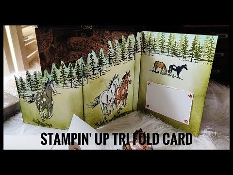Stampin' Up!: Trifold Card- Let It Ride