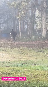 65K views · 3.8K reactions | Some Samsquantch of the mist, from 4...