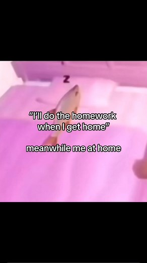 CHLOCHLO on Instagram