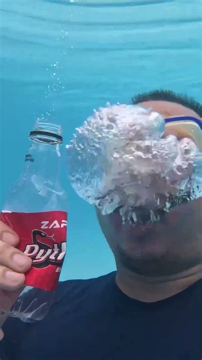 Burp Dali Python Energy vs Dali Orange Underwater