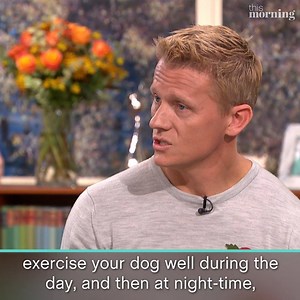 236K views · 454 reactions | Are your pets frightened of fireworks like Eamonn and Ruth’s dog Maggie? Here’s vet Scott Miller with some top tips for making Bonfire Night less stressful for your furry friends  | This Morning | Facebook