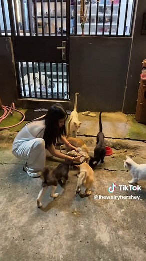 Jiji Plays Scandal: Viral Video Highlights