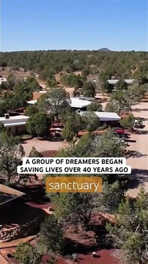 From the largest sanctuary to a national movement