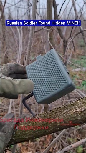 Russian Troops Discover Finnish Hailstorm Mine on Tree Branch!