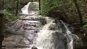9.3K views · 131 shares | Fall Branch Falls, after the rain...