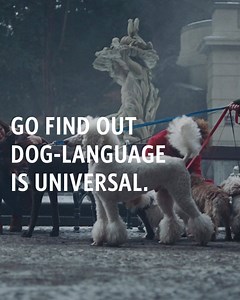 945 reactions · 62 shares | There are some 6,500 different languages in the world, but only one is universal: dog-language. | Delta Air Lines | Facebook