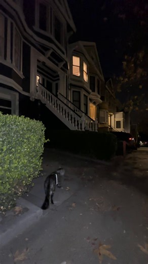 San Francisco night walks