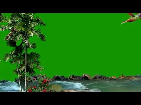 River Forest Green Screen Video || Nature River Scene || Chroma Key || Content For Creators