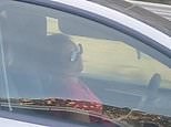 Shocking moment CA woman is filmed 'asleep' at wheel of her Tesla for 15 minutes