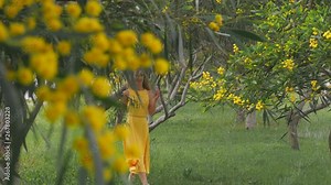 Young beautiful smiling woman in spring Australian Golden wattle trees.