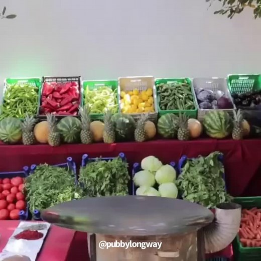 The CZN Basics: Funny Moments Compilation