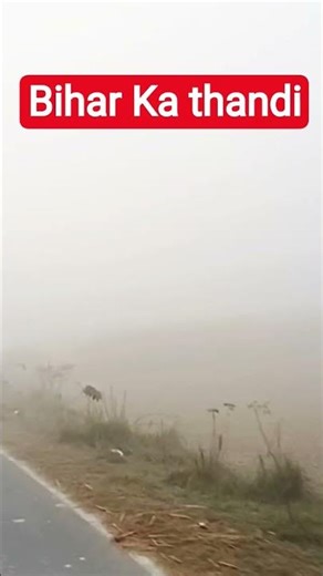 Barney lagi Hai karaoke guitar Lowe's in comedy video, 🤭🤭🤭