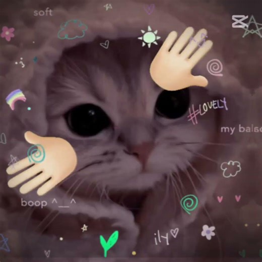 nya ichi ni san nya arigato edit