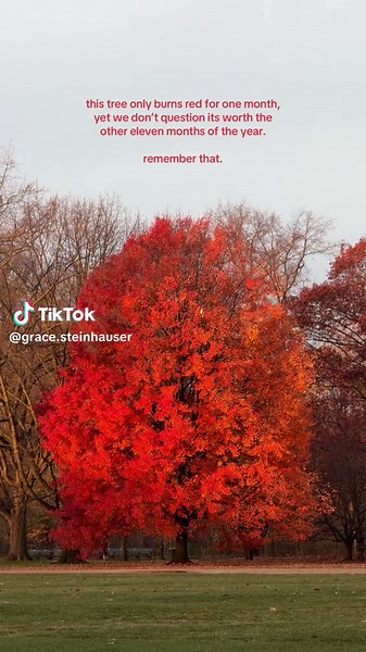 #healing #growing #grace | tree