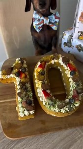 happy birthday 🎊🎉🎊🎉🤲 | My Dachshund World
