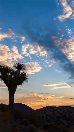 National Park Service on Instagram: "The sunset is life’s way of saying, “Good job. You survived today. Here’s something pretty.” Joshua Tree National Park is known for spectacular sunsets. The desert landscape, with iconic Joshua trees, massive rock formations, and vast open skies creates dramatic silhouettes and vibrant colors as the sun sets, making it a favorite among photographers, hikers, and visitors. Enjoy. Video: Sunset with clouds over Joshua Tree NPS/Evan Heck"