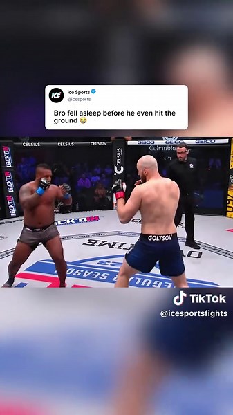 Ice Fights on TikTok