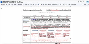 Video: Summary of Lesson Plans for Week 21 (days 91-95)