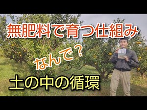 [Illustrated] Phosphorus and potassium cycle. The science of natural cultivation.