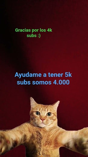 Ayuda a este gatito 🤩🥰