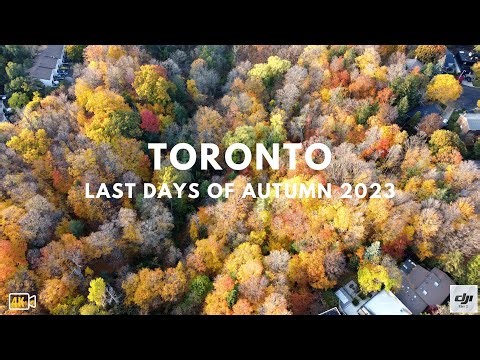 The Last Days of Autumn 2023 in Toronto [4K Drone Video] | DJI Mini 2