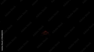 3D cockroach insect walking loop rendering with front view on a black background, 4k resolution, 60fps cockroach running animation with alpha matte clip, a scavenging insect that resembles a beetle