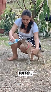 Pato... | Ms. Rose Vlogs