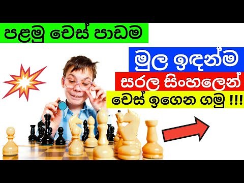 Chess Sinhala - How To Play Chess In Sinhala - Introduction ( Chess Basics )