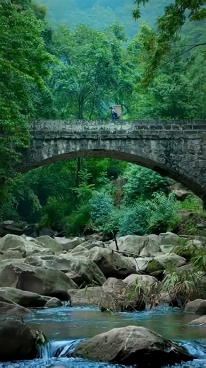 Exploring Village Life: A Journey into Rural Culture