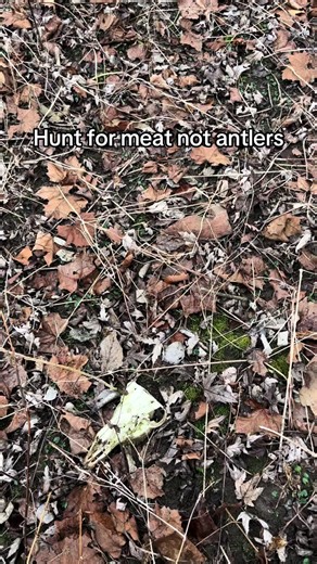Hunt for Meat, Not Just Antlers: Ethical Hunting Tips