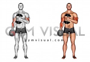 7K views · 99 reactions | A lot of new illustrations for You! on Gym visual - https://www.gymvisual.com/new-products | Gym visual | Facebook