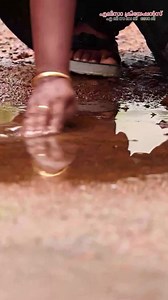 ജീവനുള്ള ആർട്ടിഫിഷ്യൽ ട്രീ | Miniature Tree Making | Eliza Creations # Reel | Eliza Creations