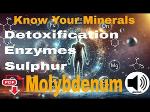Molybdenum: The Detox Mineral You’ve Never Heard Of