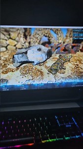 benchmarking overclocked GTX 970