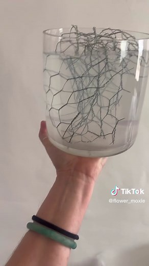 I finally ran out of green floral chicken wire, so I snagged some silver chicken wire from Home Depot. I like that it’s a lot more rigid and I can see how it would be great for installations, but it is a little bit too stiff, and I noticed that it makes my water go murky after one day. A lot of florist use silver chicken wire in clear vases and I’m wondering how do you dress the murky water? . . . #chickenwire #diyweddingflowers #diybride #diycenterpieces #foamfreefloristry #foamfreeflowers #new