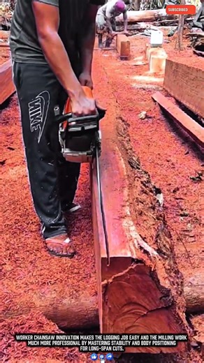 Worker Chainsaw Innovation Makes Timber Job Easy Work