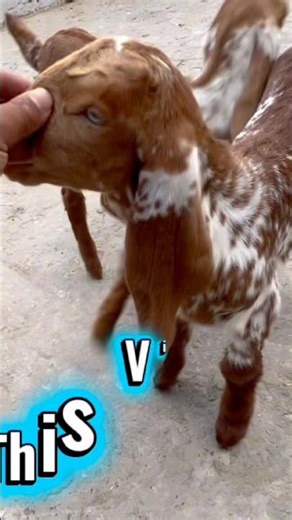 1 million #vlog #trending #viralvideo