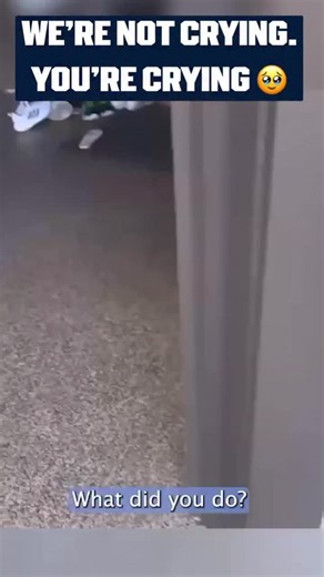 MLB ⚾ on Instagram: "Sometimes the best gifts don’t cost a thing ❤️ 📹: @carrierdamon"