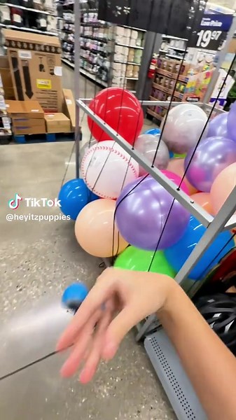 That’s a bad Puppies!