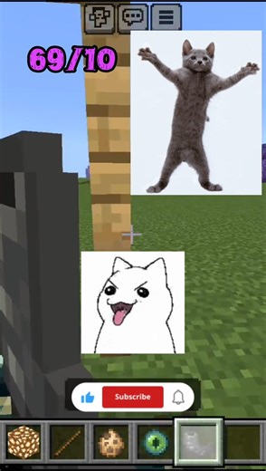 Minecraft: Which cat did it better?🤔||@Dracuuplayz #minecraft #shorts #youtubeshorts #viral