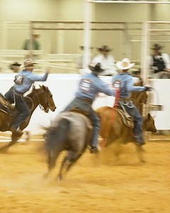 28K views · 126 reactions | Speed and spirit in the Horse Show arena  | RODEOHOUSTON | Facebook