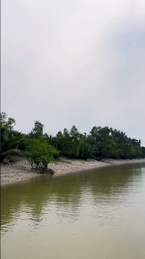 sundarban সুন্দরবন