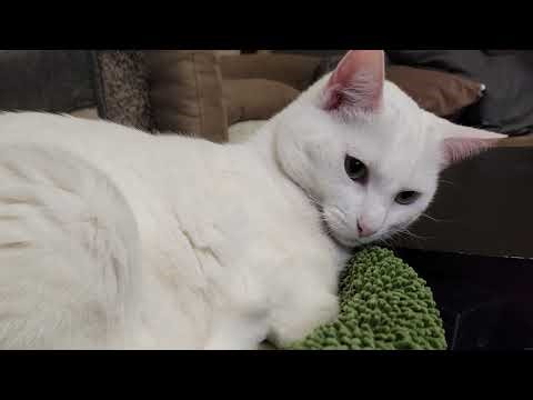 FF7 Any% No slots YUFFIE ROUTE