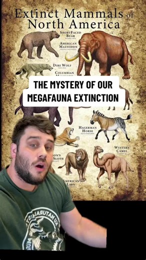 The Mystery of Megafauna Extinction