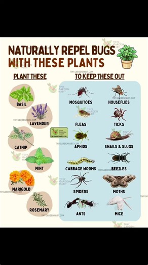 Horticulture: Sustainable Farming Practices and Philosophy